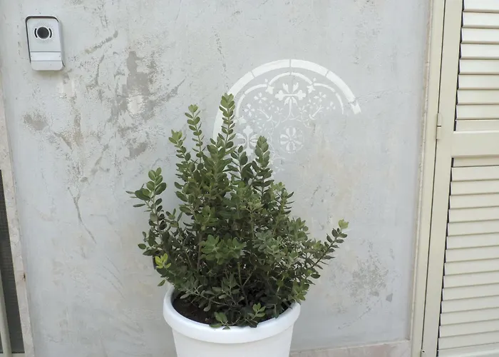 Sun & Sea Sebastian House